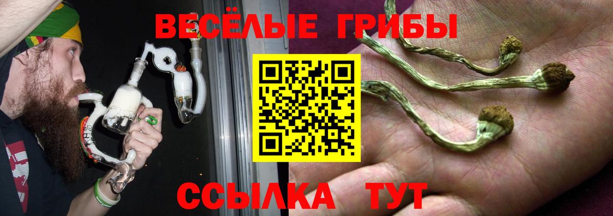 Галлюциногенные грибы MAGIC MUSHROOMS Дальнереченск