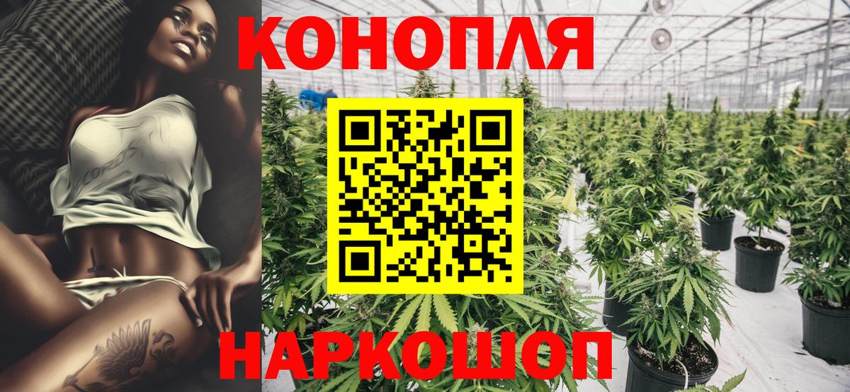 Каннабис MAZAR Дальнереченск